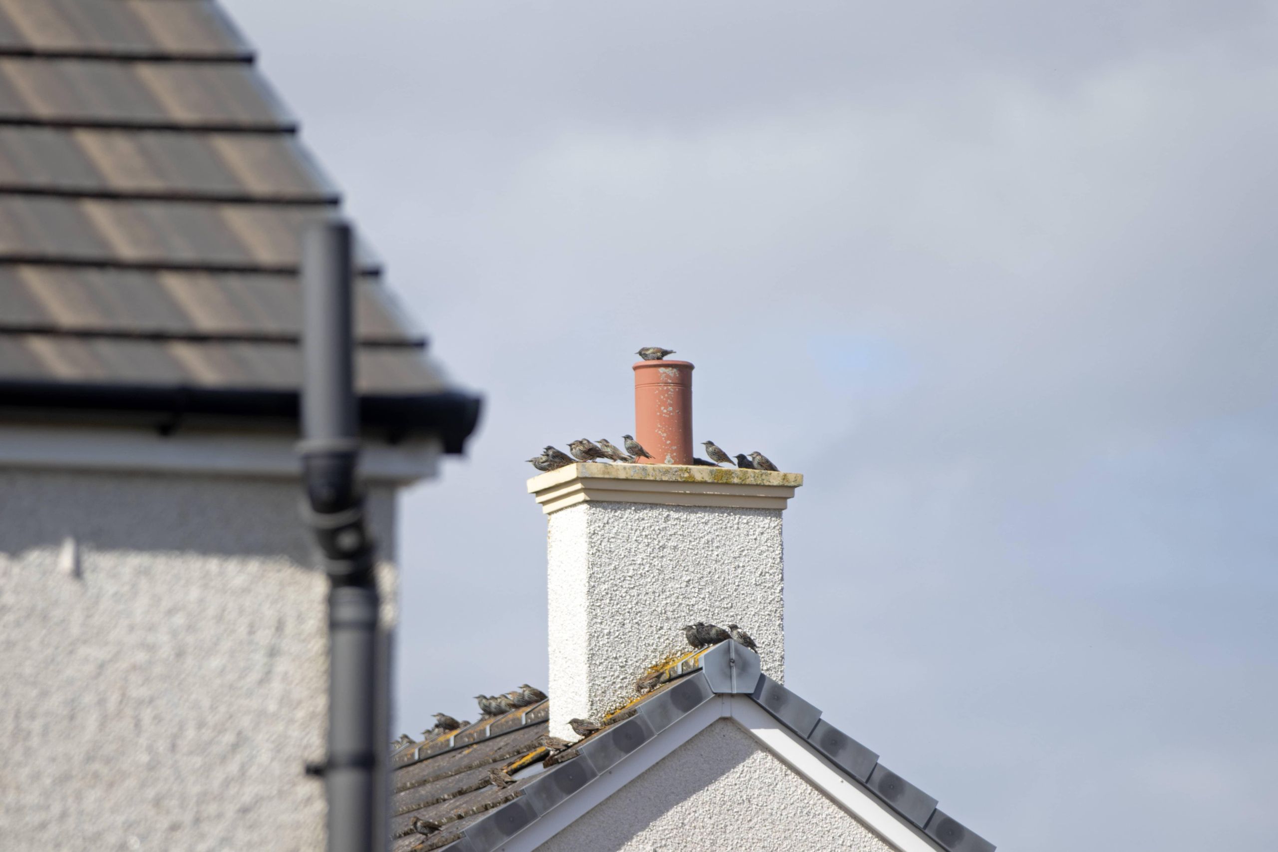chimney repair appalachian