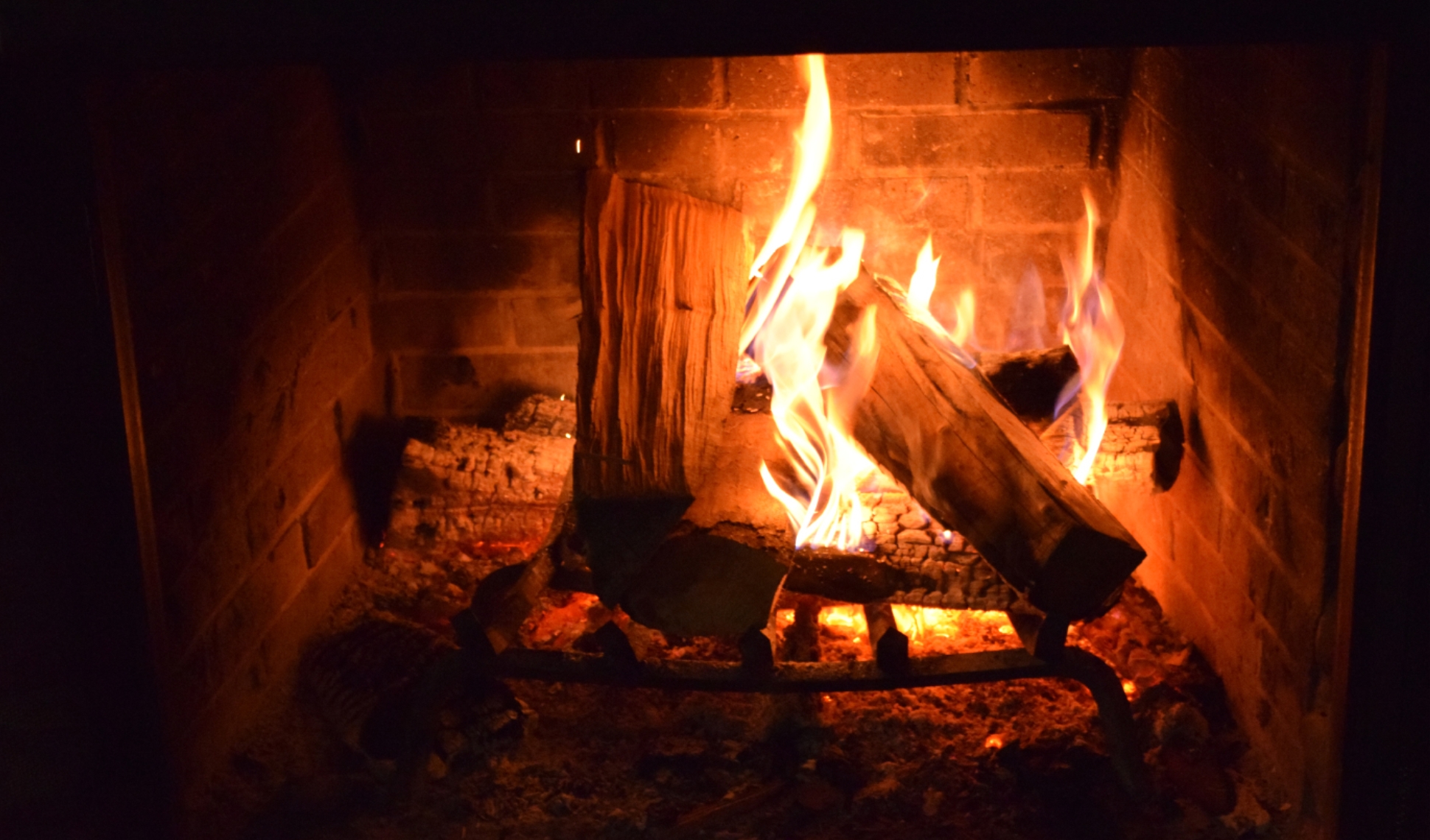 home-banner image